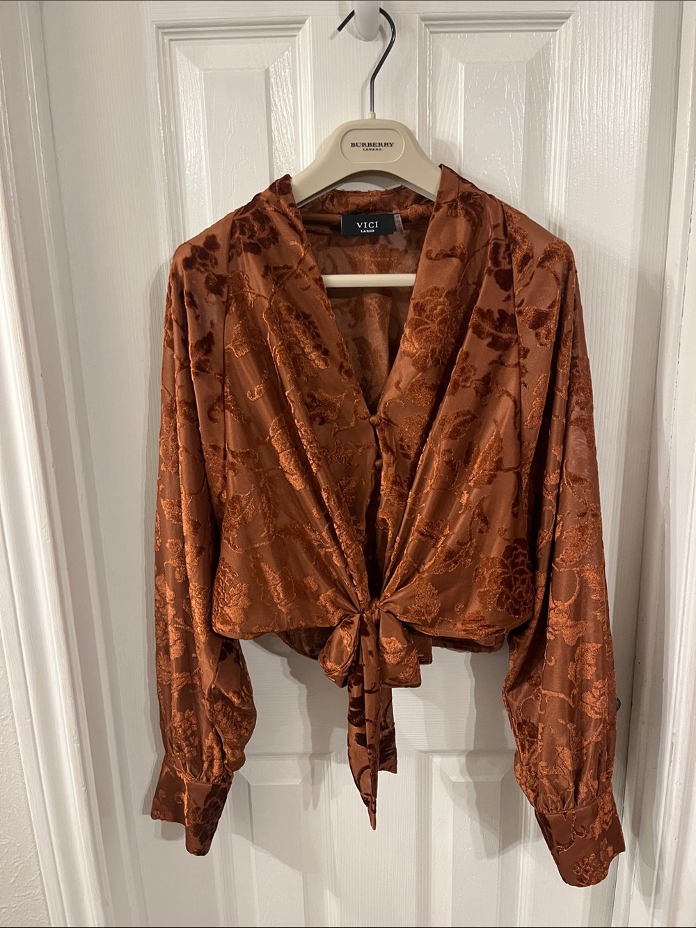 vici Rust Satin Tie-Front Blouse size large
